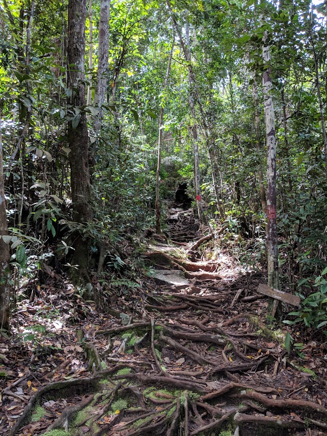 Bako national Park