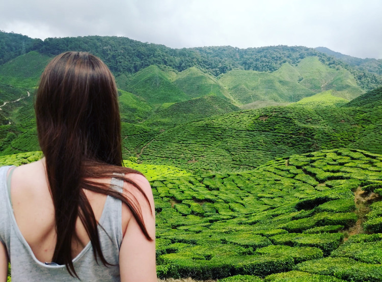 Cameron Highlands