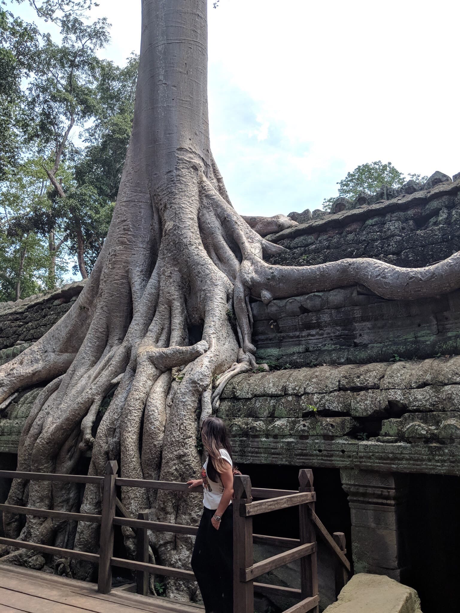 Ta Prohm Temple